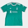 Jersey Liverpool 25/26 Alternativo