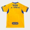 Tigres 25/26