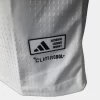 Alemania 2026